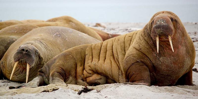 深圳人才住房租赁申请全流程解析：从资格审核到签约入驻的实用指南