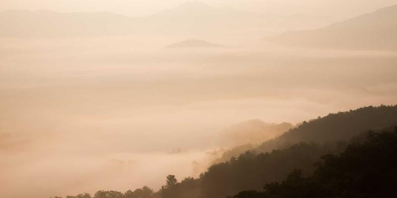 深圳前海自贸区办公室租赁政策解读：工程机械与办公设备租赁的黄金机遇