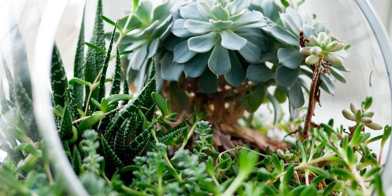 深圳外籍人士租赁全攻略：从社区选择到商务服务与设备租赁指南