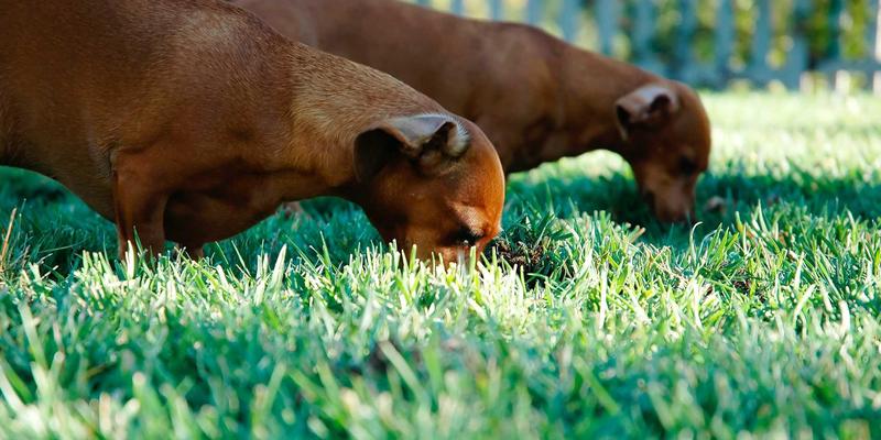 深圳应届毕业生租房补贴申请指南：从政策解读到设备租赁一站式攻略