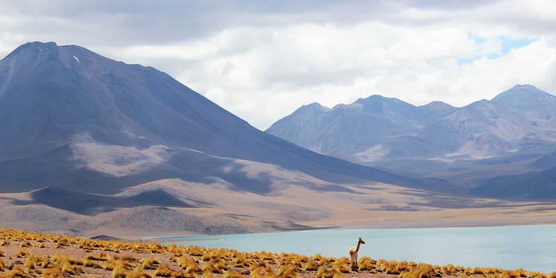 深圳租赁3.0时代：工程机械与办公设备租赁的双轨创新