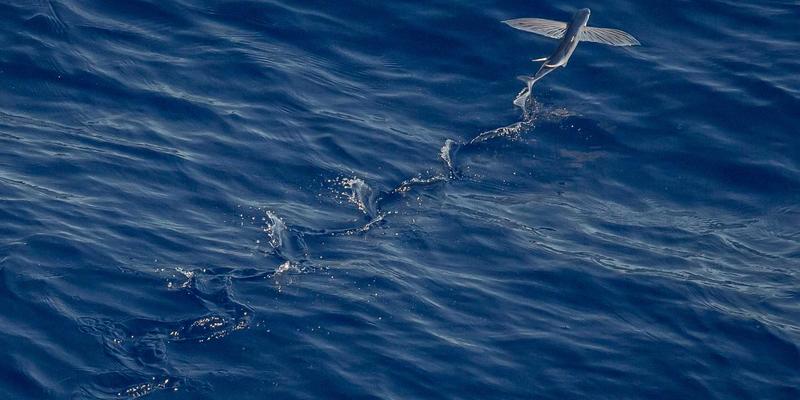 深圳租赁38：办公设备租赁如何赋能企业高效运营与成本优化