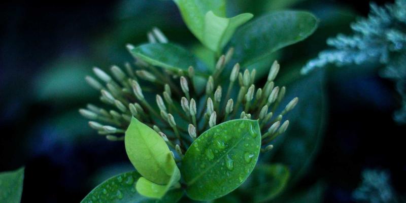 深圳租赁41：广仁租赁引领商务服务新浪潮，赋能企业高效发展