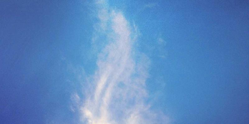 深圳租赁51：解锁商务服务与工程机械租赁的高效解决方案