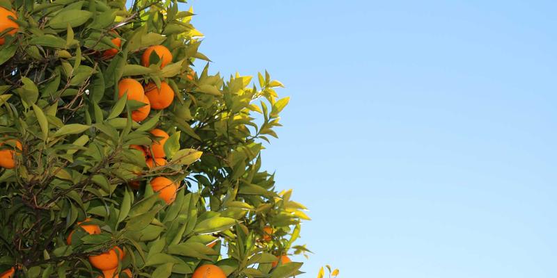 深圳租赁82:解读广仁租赁如何以办公设备与工程机械双轮驱动赋能企业发展