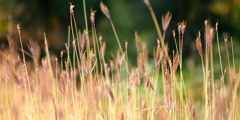 深圳租赁市场季节性波动全解析：何时租房最划算与实用议价技巧（附广仁租赁专业视角）