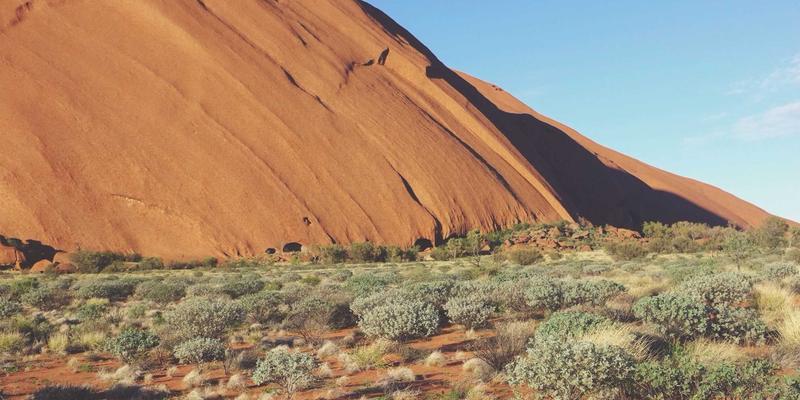 深圳租赁市场深度解析:设备与工程机械租赁如何赋能大湾区建设