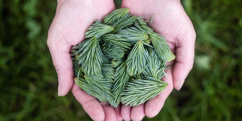 深圳租赁攻略：办公设备租赁的智慧选择与全流程指南