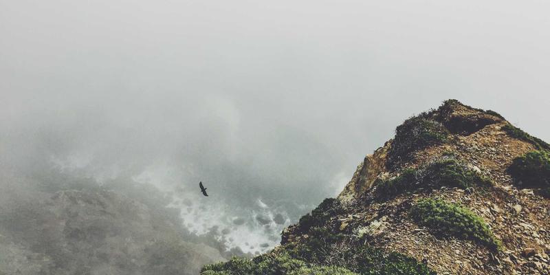 深圳租赁新趋势：办公设备与工程机械租赁如何赋能企业高效运营