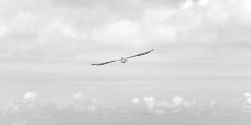 深圳租赁新趋势：广仁租赁引领办公设备灵活配置风潮