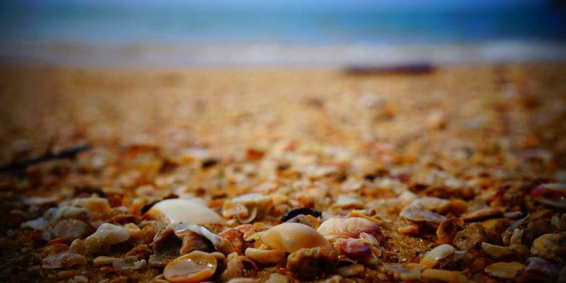 深圳租赁经济新浪潮:办公设备租赁如何赋能企业高效发展